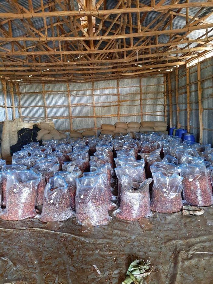 Idido Yirgacheffe Gr. 1