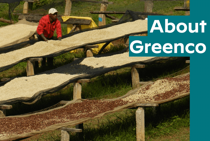 Butegana Cima Yeast WASHED