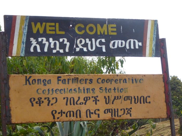 Konga Wete Gr2