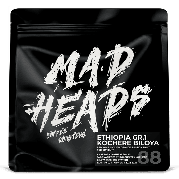 Kochere Biloya Gr. 1