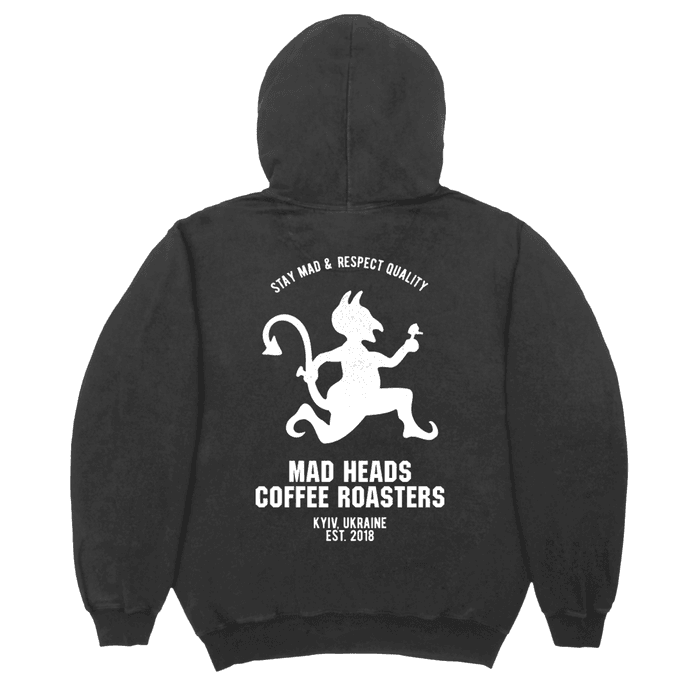 Худі сірий «Who Satan»