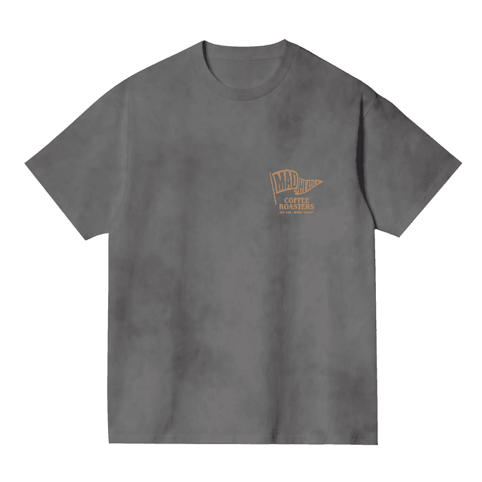 Футболка сіра з ефектом виварювання «Eagle»